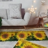 Thảm lót bếp, tham cửa 