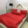 BỘ CHĂN GA THUN HÀN QUỐC CAO CẤP ĐỎ TƯƠI 