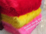 Thảm Lông Chụp Hình HCM | Shoot Hình Sẽ Trở Nên Lung Linh Hơn