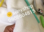 Những Điều Cần Biết Về Thảm Lông Chụp Hình Tphcm Của Sunny Shop
