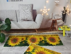 Thảm lót bếp, tham cửa 
