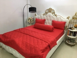 BỘ CHĂN GA THUN HÀN QUỐC CAO CẤP ĐỎ TƯƠI 