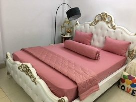 BỘ CHĂN GA THUN HÀN QUỐC CAO CẤP HỒNG RUỐT 