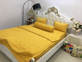 BỘ CHĂN GA THUN HÀN QUỐC CAO CẤP VÀNG
