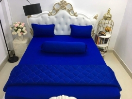BỘ CHĂN GA THUN HÀN QUỐC CAO CẤP XANH BÍCH