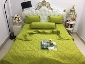 BỘ CHĂN GA THUN HÀN QUỐC CAO CẤP XANH BƠ 