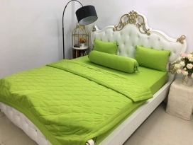 BỘ CHĂN GA THUN HÀN QUỐC CAO CẤP XANH LÁ