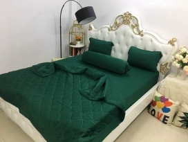 BỘ CHĂN GA THUN HÀN QUỐC CAO CẤP XANH RÊU