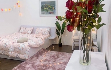 Thảm_lông_lót_sàn có đế cao cấp  màu hồng vỏ đổ 