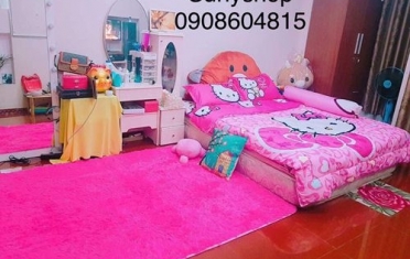 Thảm Lót Sàn Cao Cấp | Món Đồ Trang Trí Hữu Ích Cho Căn Phòng