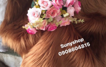 Thảm Chụp Ảnh Sản Phẩm | Sự Lựa Chọn Thông Minh Cho Chủ Shop