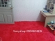 Sunny Shop - Địa Điểm Chuyên Bán Thảm Lông Cao Cấp Nhất Thị Trường Miền Nam