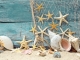 Background 3d chụp ảnh - Sunny Shop
