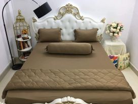 BỘ CHĂN GA THUN HÀN QUỐC CAO CẤP NÂU CAPHE 